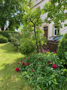 Blick in den blühenden Garten