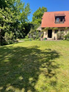 sonnige Rasenfläche