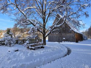Blick auf Halle zur Rechten