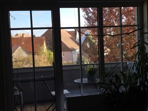 Blick über den Stadtpark hinweg