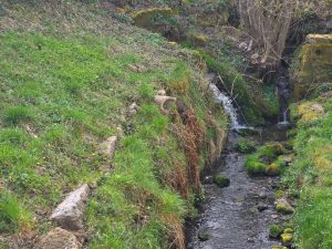 Bachlauf